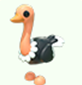 Ostrich