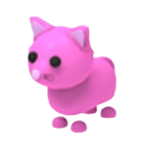 Pink Cat