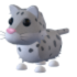 Snow Leopard